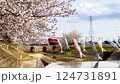 春の桜と鯉のぼりそして赤電車 124731891