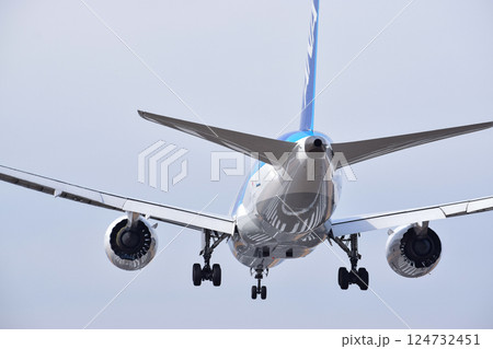 最終着陸態勢の飛行機 最終着陸態勢の飛行機 124732451