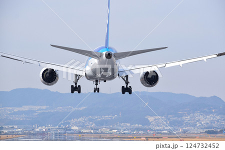 最終着陸態勢の飛行機 124732452