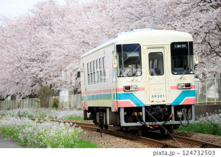 満開の桜とレールバス（甘木鉄道 AR300形） 124732503