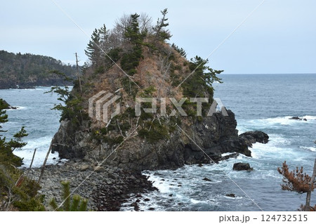気仙沼大島 龍舞崎 馬の背 気仙沼大島 龍舞崎 馬の背 124732515