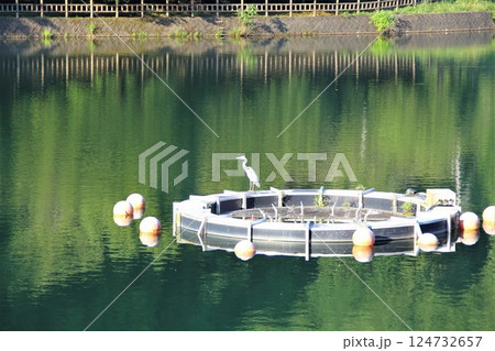 伊自良湖散策・1（岐阜県山県市） 124732657