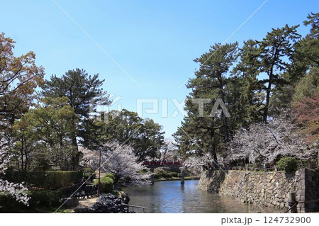 岡崎城公園の風景 岡崎城公園の風景 124732900