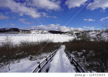 八島湿原へ向かう木道(冬景色) 124733055