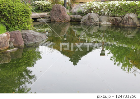 曼荼羅寺の藤(愛知県江南市)・48 曼荼羅寺の藤(愛知県江南市)・48 124733250