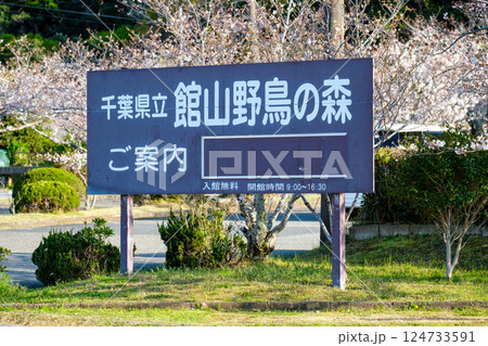 千葉県立館山野鳥の森　看板 124733591