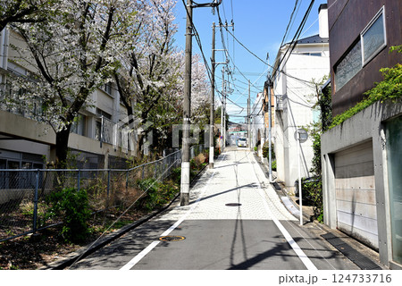 東京 代々木上原駅 閑静な高級住宅街 桜の風景 東京 代々木上原駅 閑静な高級住宅街 桜の風景 124733716