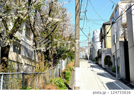 東京 代々木上原駅 閑静な高級住宅街 桜の風景 東京 代々木上原駅 閑静な高級住宅街 桜の風景 124733816