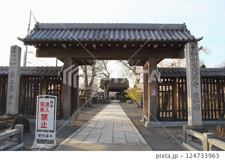 春の曼荼羅寺・11（愛知県江南市） 124733963