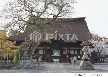春の曼荼羅寺・6(愛知県江南市) 春の曼荼羅寺・6(愛知県江南市) 124733969