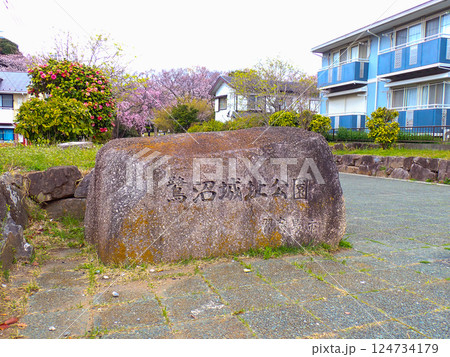 鷺沼城址公園 千葉県習志野市 鷺沼城址公園 千葉県習志野市 124734179
