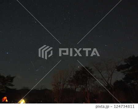 静岡県　朝霧ジャンボリーオートキャンプ場で見た星空　3月 124734811