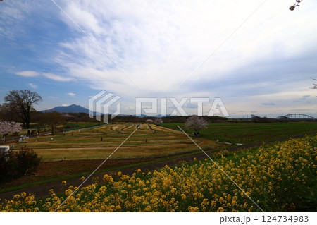 春の小貝川ふれあい公園 春の小貝川ふれあい公園 124734983