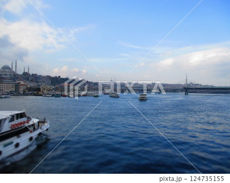 トルコ イスタンブール ジオラマ風 トルコ イスタンブール ジオラマ風 124735155