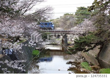 夙川 124735331