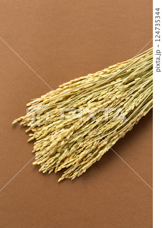 お米の稲穂 124735344