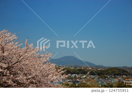 総合農事センターからの桜の花と皿倉山 【青空】 124735951