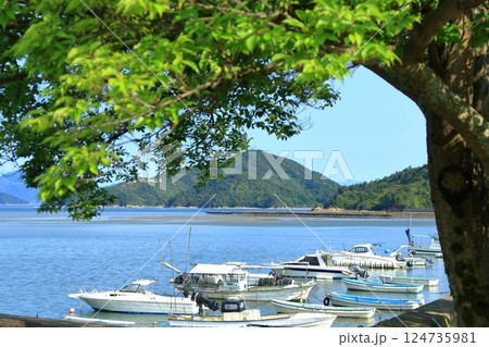 漁港がある風景 (瀬戸内海) 124735981