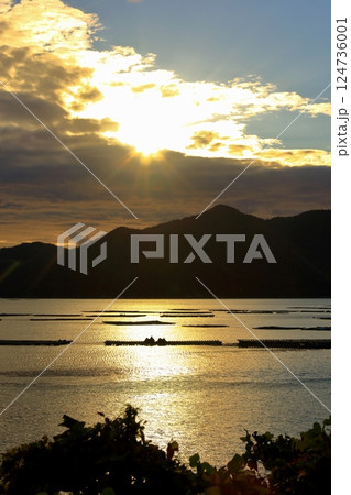 輝く海に浮かぶ牡蠣筏 124736001