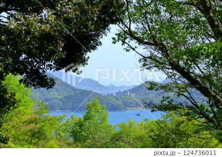 木々の間から見える瀬戸内海 124736011