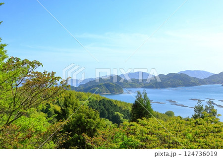 緑が鮮やかな 春の瀬戸内風景 124736019