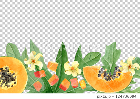 Papaya fruit slice, cubes, leaf and flowers watercolor horizontal frame isolated on white. Hand drawn illustration perfect for cards, banners, tape, textile, stationary design. Exotic plant clipart Papaya fruit slice, cubes, leaf and flowers watercolor horizontal frame isolated on white. Hand drawn illustration perfect for cards, banners, tape, textile, stationary design. Exotic plant clipart 124736094