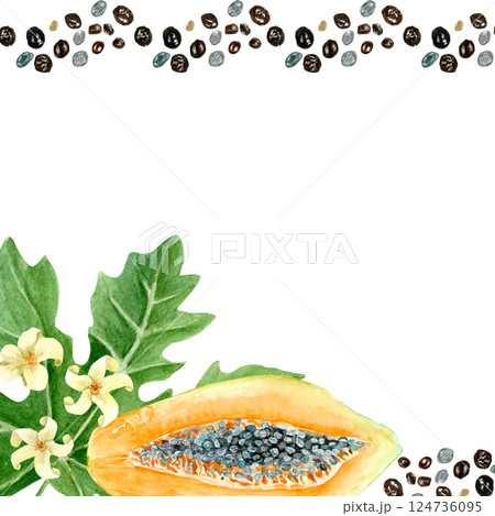 Papaya fruit, flower, seeds watercolor square frame isolated on white. Hand-painted tropical fruit clip art ideal for culinary designs, wrapping paper, prints, cards, packages and menu. Textured Papaya fruit, flower, seeds watercolor square frame isolated on white. Hand-painted tropical fruit clip art ideal for culinary designs, wrapping paper, prints, cards, packages and menu. Textured 124736095