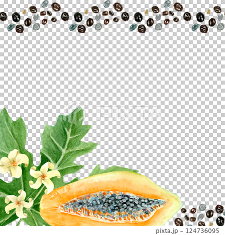 Papaya fruit, flower, seeds watercolor square frame isolated on white. Hand-painted tropical fruit clip art ideal for culinary designs, wrapping paper, prints, cards, packages and menu. Textured Papaya fruit, flower, seeds watercolor square frame isolated on white. Hand-painted tropical fruit clip art ideal for culinary designs, wrapping paper, prints, cards, packages and menu. Textured 124736095