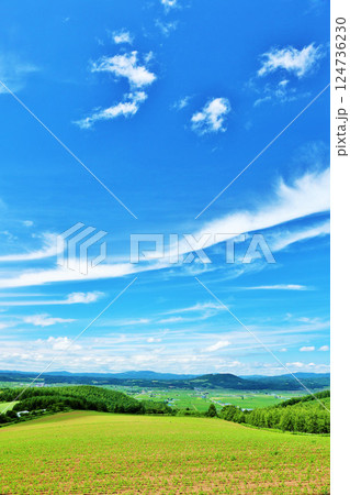 北海道　夏の青空と大地 124736230