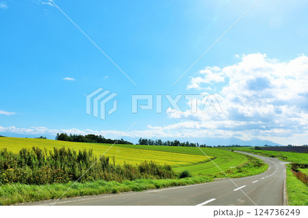 北海道　夏の青空と美瑛の道 124736249