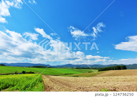 北海道 夏の青空と美瑛の風景 北海道 夏の青空と美瑛の風景 124736250