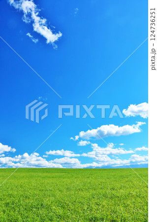 北海道　夏の青空と新緑の草原風景 124736251