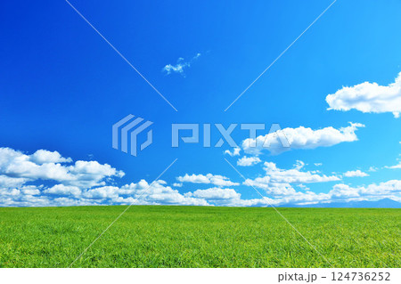 北海道　夏の青空と新緑の草原風景 124736252