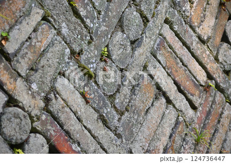 窯垣の小径 窯垣の小径 124736447