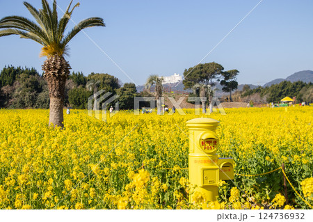 菜の花畑 幸せの黄色いポスト 124736932