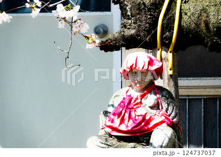 麗かな春の桜とお地蔵さんの風景 麗かな春の桜とお地蔵さんの風景 124737037