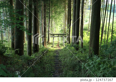 荒戸神社　6 124737167