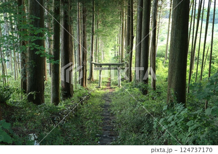荒戸神社 3 荒戸神社 3 124737170