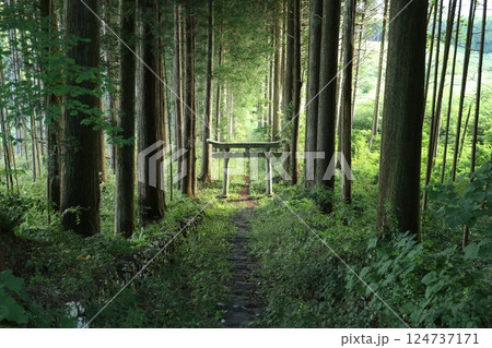 荒戸神社　2 124737171