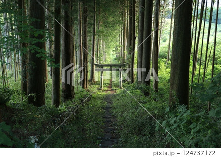 荒戸神社 1 荒戸神社 1 124737172