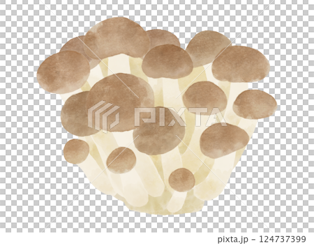 水彩風格 Shimeji 蘑菇插畫 124737399