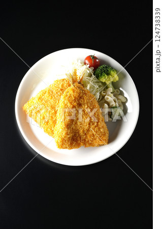 鯵のフライを黒背景で撮影 124738339