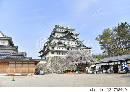 春の名古屋城 春の名古屋城 124738449