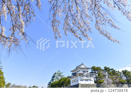 春の名古屋城 124738478
