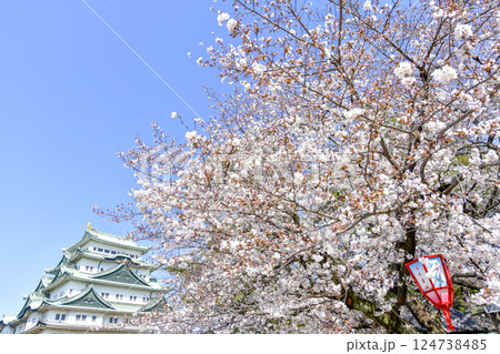 春の名古屋城 124738485