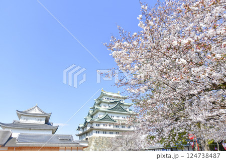 春の名古屋城 春の名古屋城 124738487