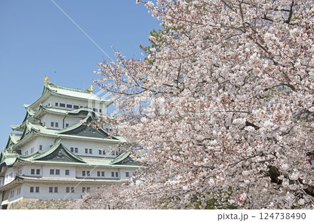 春の名古屋城 124738490