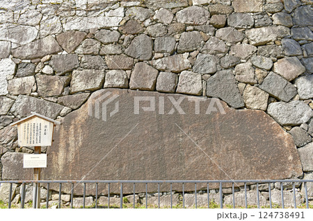 春の名古屋城 124738491