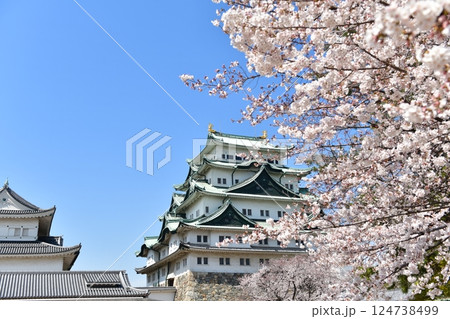春の名古屋城 124738499