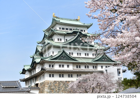 春の名古屋城 124738504